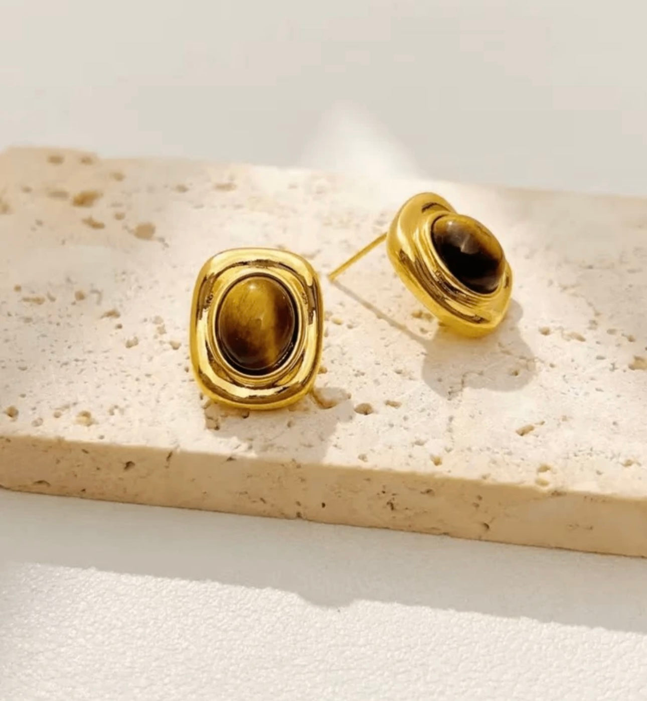 Brown & Gold Tortoise Earrings