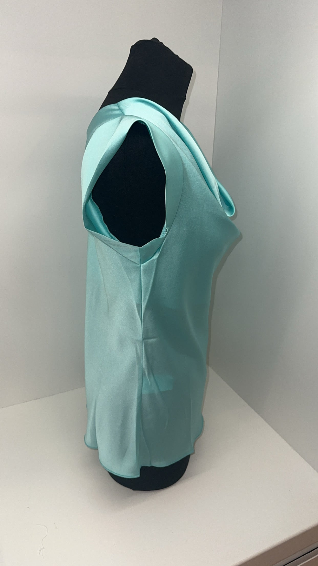 Kerrie Mint Satin Cowl Neck Top