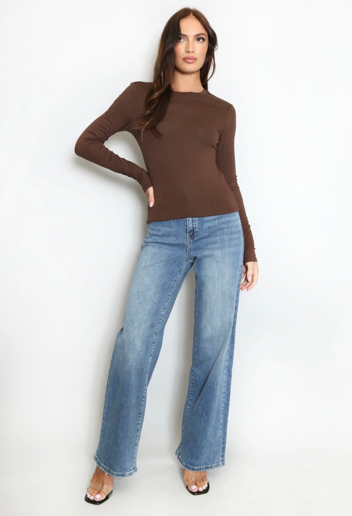 Brown Long Sleeve Basic Top
