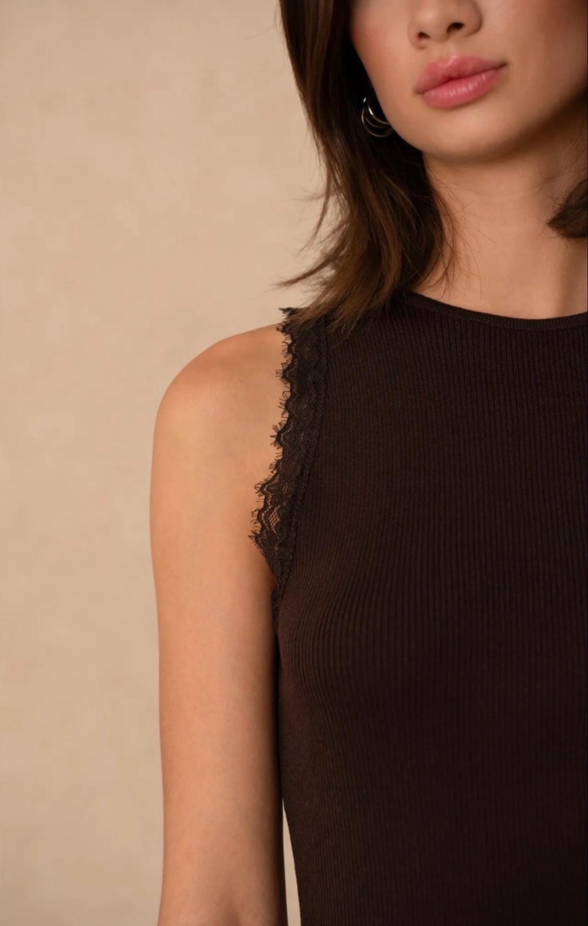 Brown Lace Ribbed Detail Top