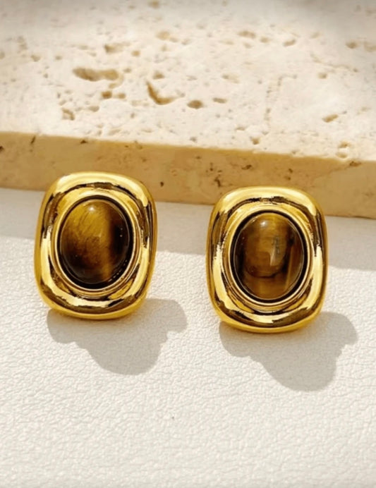 Brown & Gold Tortoise Earrings