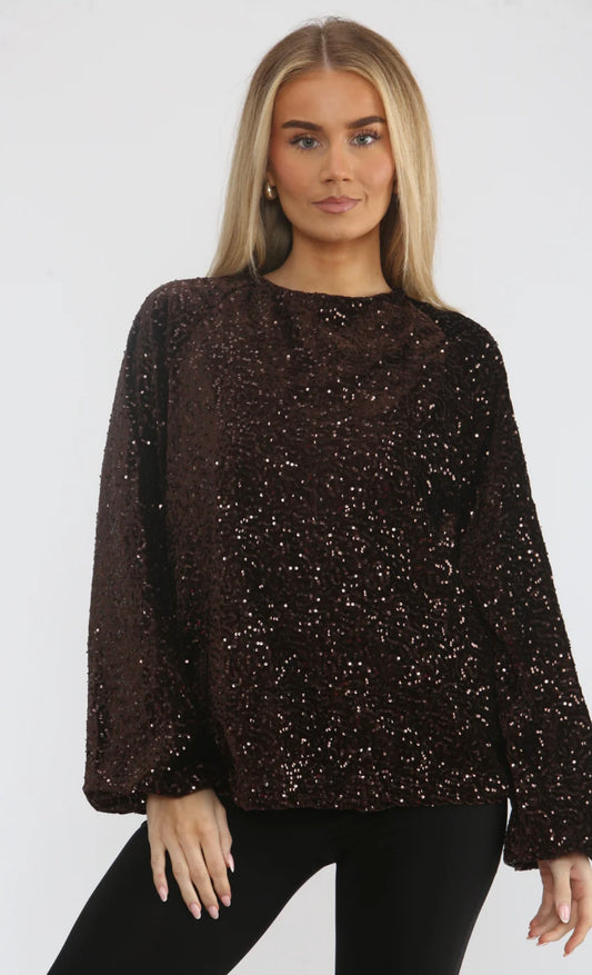 Brown Velvet Sequin Top With Bow Detail Back
